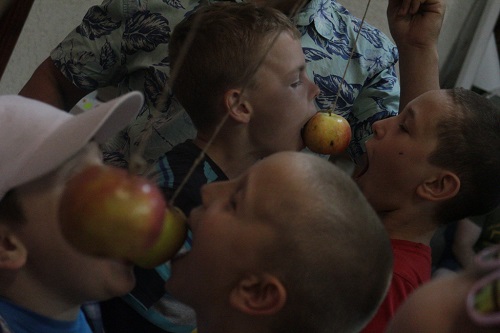 халюцим 2014 8 б
